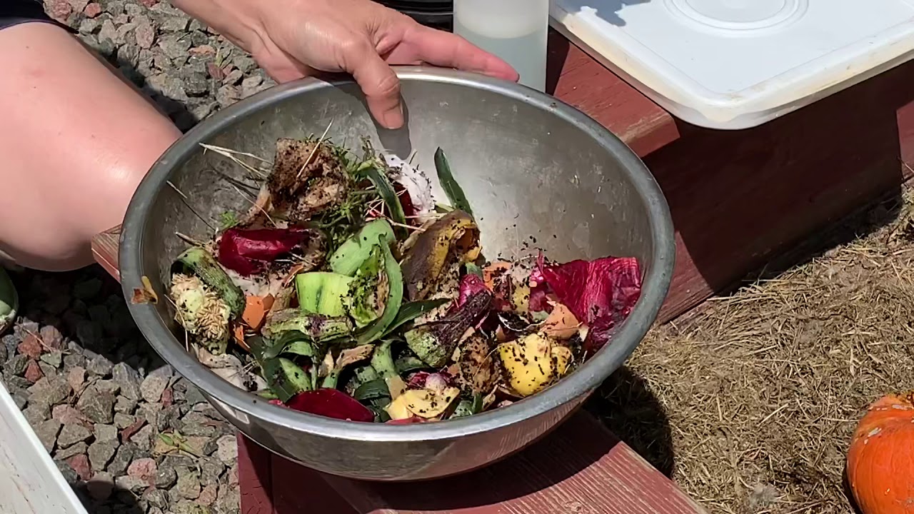 Making Organic Compost