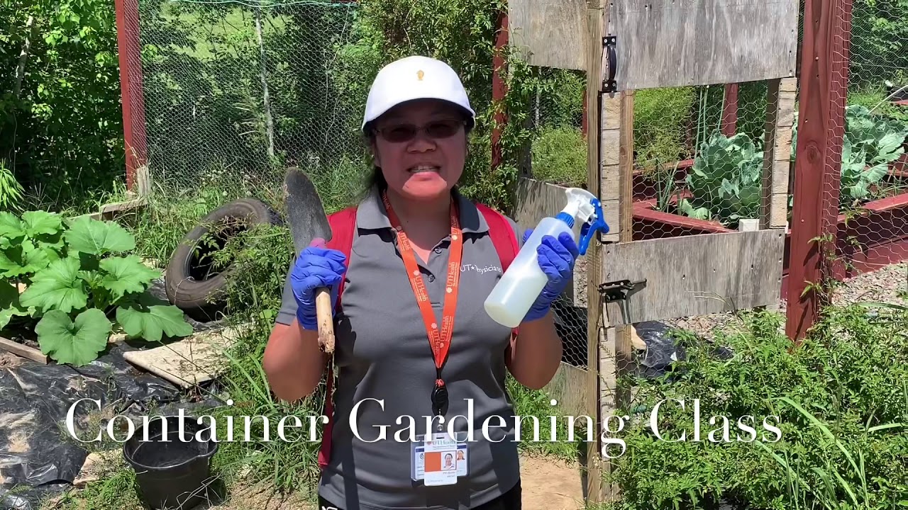 Container Gardening Wellness Class